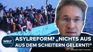 ASYL IN DER EU: Migrationsexperte zerreißt Asylreform in der Luft „nichts aus dem Scheitern gelernt“