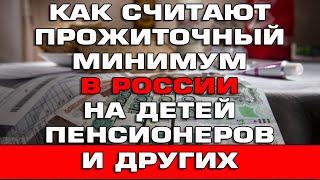 Как рассчитывают прожиточный минимум в России для пенсионеров детей и других