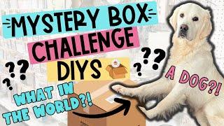 SHOCKED!  Making Dollar Tree DIYS with the CRAZIEST CHALLENGE ITEM ever!  MYSTERY BOX CHALLENGE