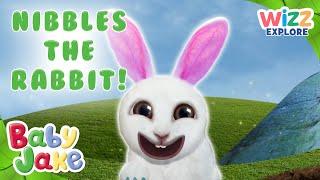 @BabyJakeofficial  - Explore with Nibbles the Rabbit!  | Full Episodes | Compilation | @WizzExplore