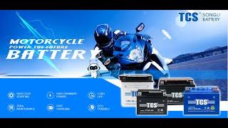 Motorcycle Battery YTX4L BS