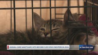 Animal Care Sanctuary hits new record in spay and neuter