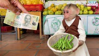 Smart monkey Lily knows how to pick beans to sell and buy milk