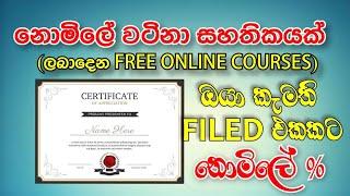 Free Online Course Sinhala|ඔයාගෙ Filed එකට ගැලපෙන Course එකක් කරලා නොමිලේ Certificate එකක් ගමු