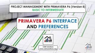 Primavera P6 Full Training - Interface & Preferences