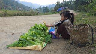 Poor girl harvesting vegetables, Selling vegetables on the roadside waiting for passersby