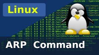 Arp Command - Linux