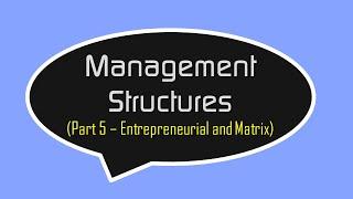 Entrepreneurial and Matrix Management Structures - Higher Business Management