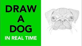 Draw a realistic dog in minutes!  Follow along in real time | Drawing Tutorial #art #dog