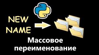 Массовое переименование папок | Python и автоматизация | Работа с папками в Python