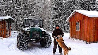 НОВЫЙ ГОД В ТАЕЖНОЙ ИЗБЕ! АЛТАЙ УБЕЖАЛ В ЛЕС. СЛЕДЫ ВОЛКА РЯДОМ С ЛЕСНОЙ ХИЖИНОЙ!