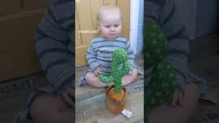 compilation baby crying cactus toy