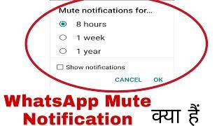 WhatsApp mute notification how to use |WhatsApp Mute Notification Kaya hai