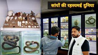 सांपों की रहस्यमई दुनिया में आप सभी का स्वागत है #bapi_da_snake_expert