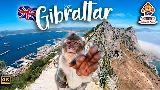  Gibraltar, The Great Tour! 4K (Ultra HD) Walking Virtual Tour UK (2021)