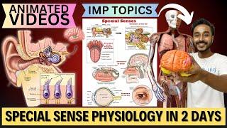 special sense physiology in 2 days | how to study special sense physiology important topics