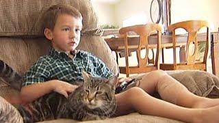 VIRAL VIDEO: Cat Saves Bakersfield Boy, Boy Talks About Dog Attack