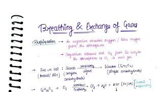 Neet notes  Breathing & Exchange of Gases || Class 11th Biology Handwritten Notes #biology #neet