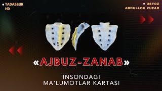 Inson qiyomatda shu suyakdan qayta tarkib qilinadi - Ustoz Abdulloh Zufar