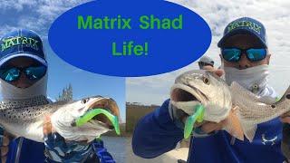 CATCHING REDFISH AND SPECKLED TROUT WITH MATRIX SHAD AT CAT ISLAND SOUTH MS!