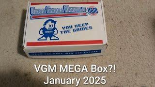 Not so Mega Video games Monthly Box Jan 2025 unboxing