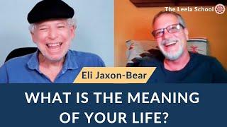 What Is The Meaning Of Your Life?