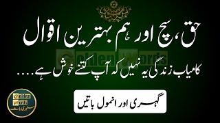 Kamyab Zindagi Sunehri Batain |Motivational Quotations | Beautiful Quotes Urdu|Golden Words officail