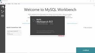 CRUD operations in MYSQL workbench