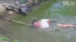 This is NOT How You Catch an Electric Eel (Electrophorus electricus)