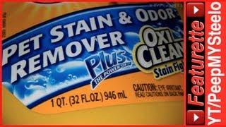 Best Carpet Cleaner For Pet Stain Removal With Odor Remover & Neutralizer For Pet Urine Stains