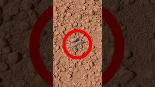 Som ET - 58 - Mars - Curiosity Sol 65 #shorts