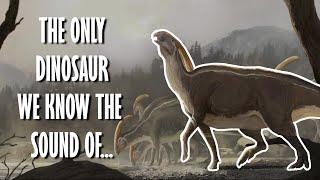 Parasaurolophus | The dinosaur that sounded eerily beautiful...