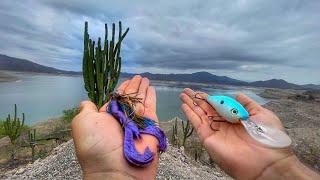 PESCANDO EL MEJOR LAGO DEL MUNDO! | Lobinas Gigantes en Bacurato