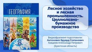 Тема 13. Лесное хозяйство и лесная промышленность. Целлюлозно-бумажное производство