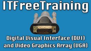 Digital Visual Interface (DVI) and Video Graphics Array (VGA)