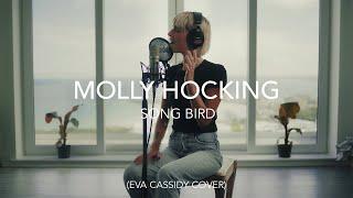 Molly Hocking - Songbird (Eva Cassidy Cover)