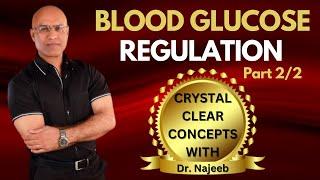 Fed State | Insulin & Role of Liver | Blood Glucose Regulation Part 2/2‍️