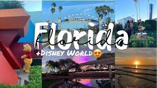 florida vlog + disney world (auslandsjahr usa) | vici's diary