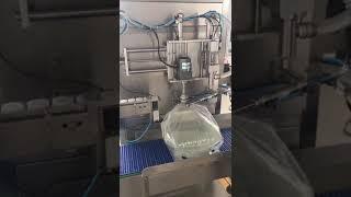 Semi-auto Servo motor drive bag in box filling capping machine