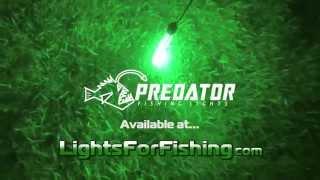 Underwater LED Fishing Lights - 100 Foot Depth Rating in Green and White LEDs