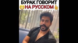 #osbal #osman #bala #осбал #осман #бала #osman #основаниеосман #burakozcivit #turkey #турецкиесериал