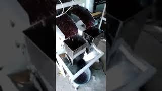 Rajma Packaging machine