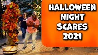 Very Loud Screams on Halloween Night!!