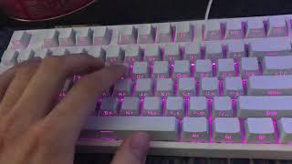 Шумит при печати/ пружины switch плохо смазаны / DARK PROJECT KD1B REV.2 WHITE GATERON RED