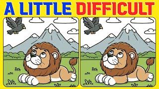 Spot the Difference | Puzzle Games 《A Little Difficult》