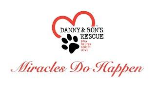 Danny and Ron's Rescue w/Kim, Aiden, Sharry and Ron