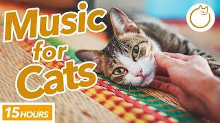 [No Ads] EXTRA-LONG Music to Calm Your Cat - MAGIC MELODY 