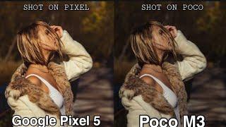 Google Pixel 5 Vs Poco M3 Camera Comparison