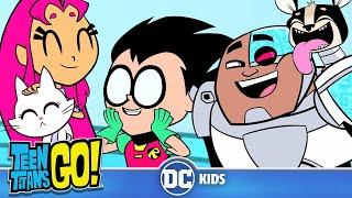 Cats vs Dogs   | Teen Titans Go! | @dckids