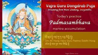 Day 8  Session 1- Bajra Guru Dungdhub Puja 2024/Puja live streaming from Manang Gumba.